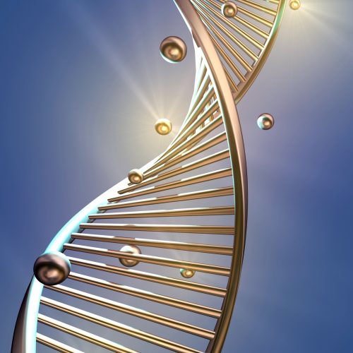 Bio Medizin Ganz gesund bei Contour Lines
